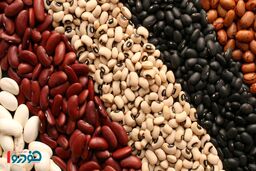 گرانی عجیب و غریب حبوبات / برای خرید لوبیا و عدس چقدر باید پول بدهیم؟