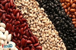 قیمت جدید عدس کانادایی و لوبیا چیتی ایرانی اعلام شد - شهریور ۱۴۰۴