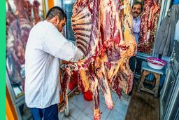 گوشت با ارز آزاد چند شد؟ دی ۱۴۰۴
