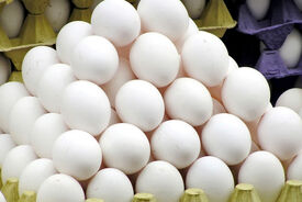 قیمت مرغ و تخم مرغ امروز ۲۲ اردیبهشت ۱۴۰۵ /  نرخ شکر و روغن در بازار