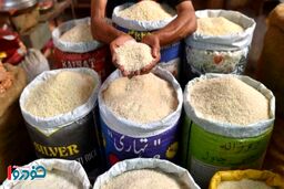 خطر بزرگ بیخ گوش بازار برنج شب عید + جزئیات