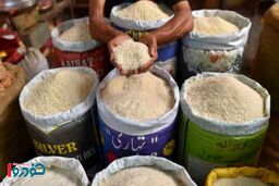 قیمت برنج و تخم مرغ به طرز عجیبی ارزان شد - ۲۲ دی ۱۴۰۴
