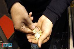آخرین قیمت دلار و سکه برای امروز - ۱ مرداد ۱۴۰۴