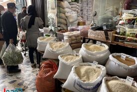 اتفاق مهم در بازار برنج / واردات از این ۲ کشور حسابی بالا رفت!