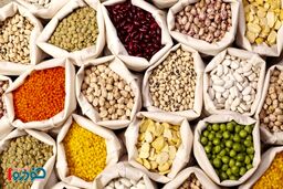 قیمت جدید لوبیا در بازار اعلام شد - ۲۴ اردیبهشت ۱۴۰۴