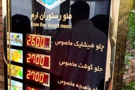 قیمت فضایی شیشلیک در ۱۴۰۵ / خوردن این غذا هم آرزو شد!