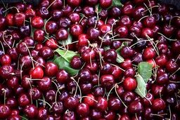 قیمت عجیب گیلاس / فروش به صورت ۲۵۰ گرمی!