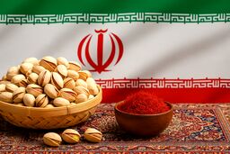 سیل محصول پرطرفدار ایرانی در راه اروپا / آماده باشید!