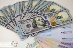 دلار با ریزش قیمت استارت زد - ۱۶ شهریور