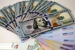دلار با ریزش قیمت استارت زد - ۱۶ شهریور