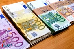 فرمول سفر رایگان / یورو را دولتی بخر، در بازار آزاد بفروش!
