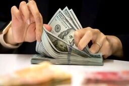 دلار در کمال ناباوری حسابی ارزان شد - ۱۸ مرداد